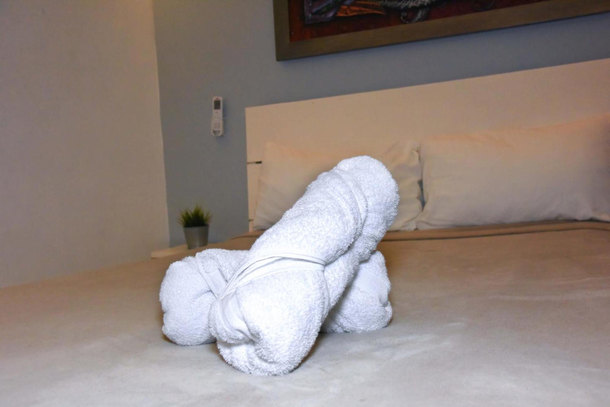Hostel Gato Colonial 산토도밍고 외부 사진