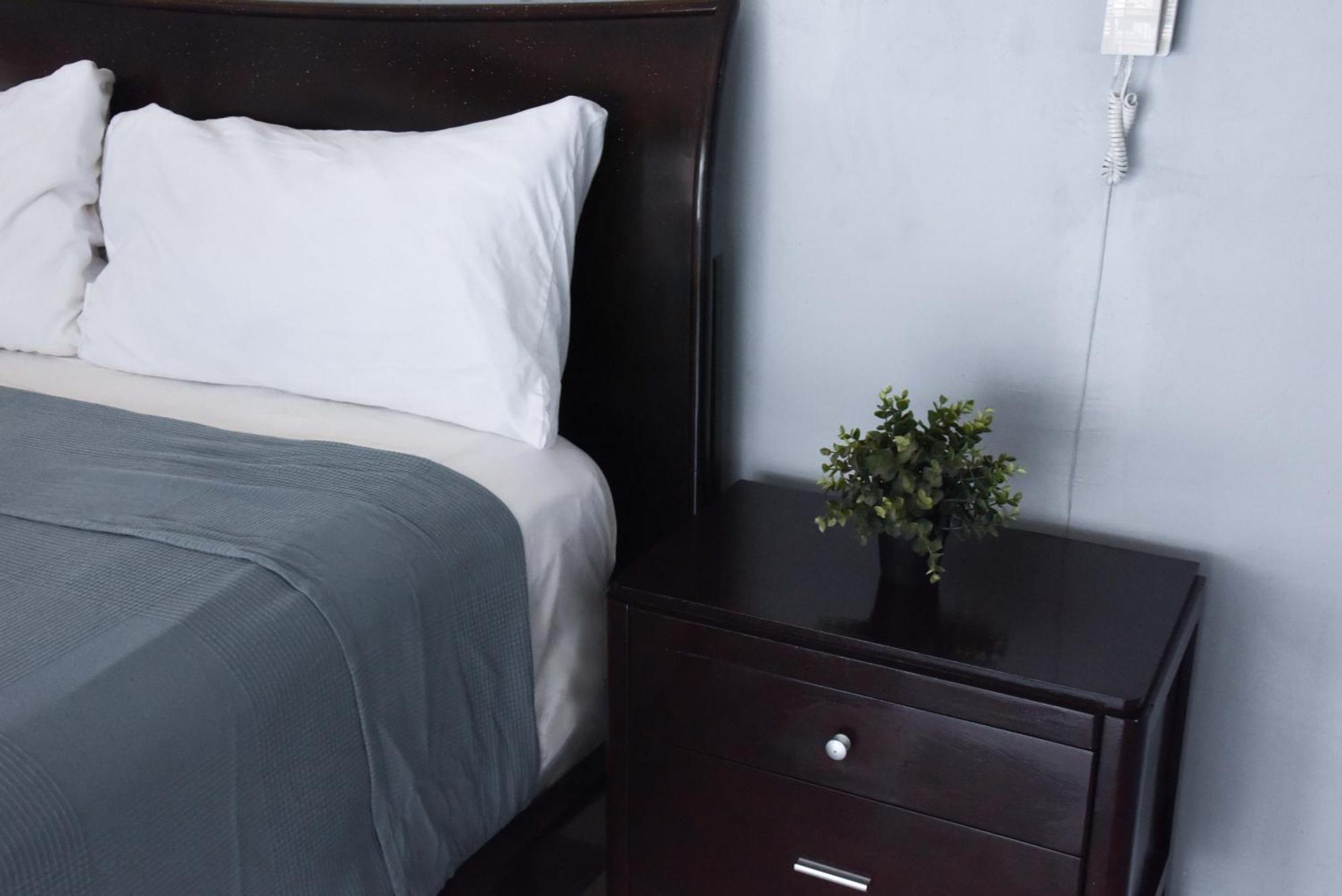 Hostel Gato Colonial 산토도밍고 외부 사진
